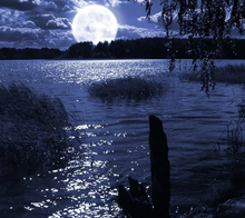 Load image into Gallery viewer, Moon Lake Musk - Soy Wax Candle