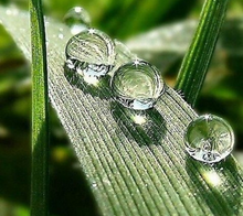Load image into Gallery viewer, Rain Water - Soy Wax Candle