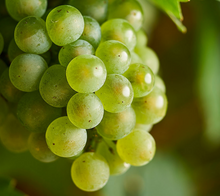 Load image into Gallery viewer, Candle | Chardonnay - Soy Wax Candle